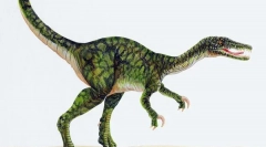 A dinoszauruszok mozgatásának sebessége